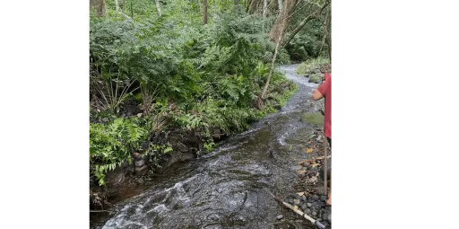 Hale Mua Cultural Group