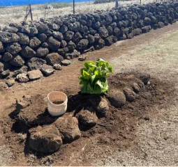 Hale Mua Cultural Group