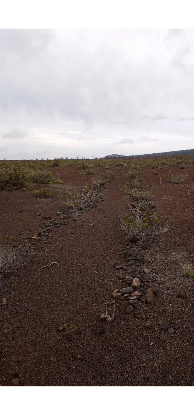 Hale Mua Cultural Group